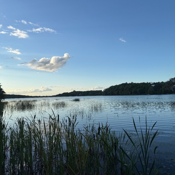 Meet your Posher! - Picture 1 of 1